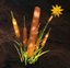 far-cry-primal-seltenes-schilf far-cry-primal-seltenes-schilf