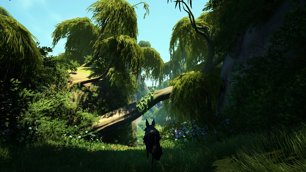 Lost Ember