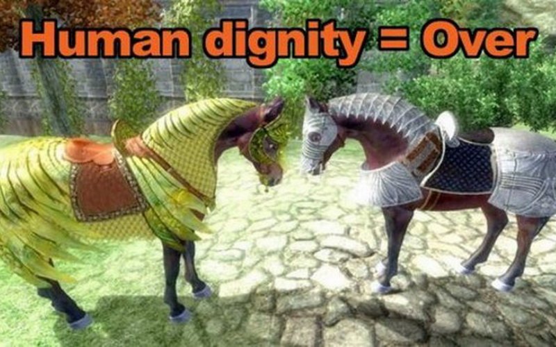Das "Horse Armor Pack" für The Elder Scrolls IV: Oblivion steht mittlerweile symbolisch für nutzlosen DLC (Quelle: Fraghero.com)
