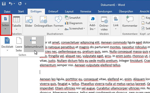 Word Seitenumbruch einfügen anzeigen und löschen So geht s