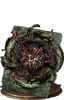 dorhys_gnawing-icon dorhys_gnawing-icon