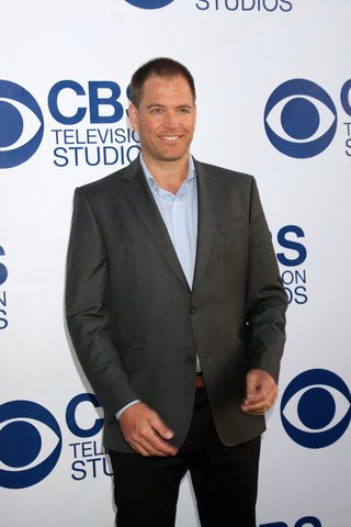 Nach 13 Staffeln ist Schluss. In Navy CIS Staffel 14 wird Michael Weatherly nicht mehr mit dabei sein navy-cis-staffel-13-michael-weatherly-helgaesteb-shutterstock