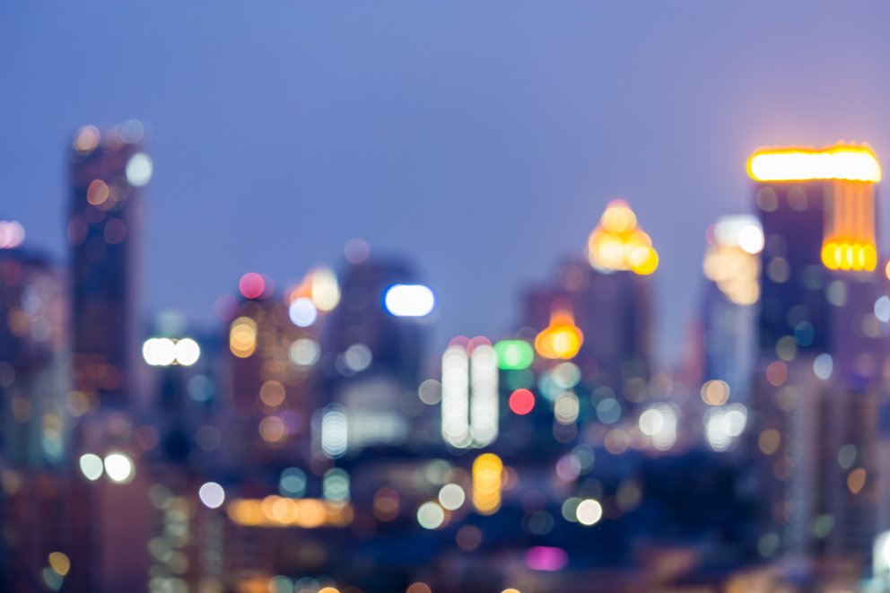 Skyline-Local-Guides