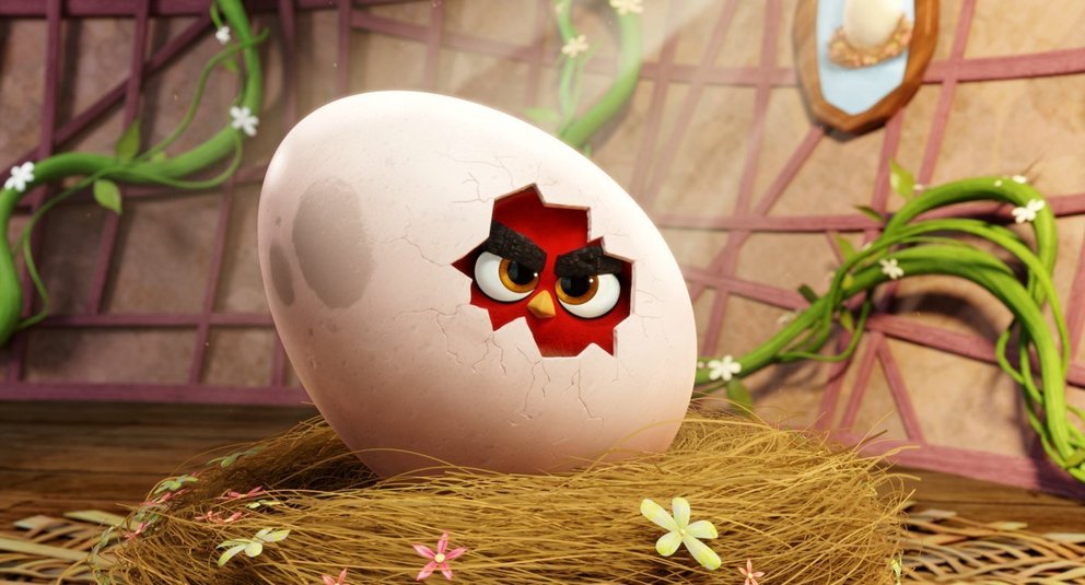 angry birds der film im online stream und dvd release
