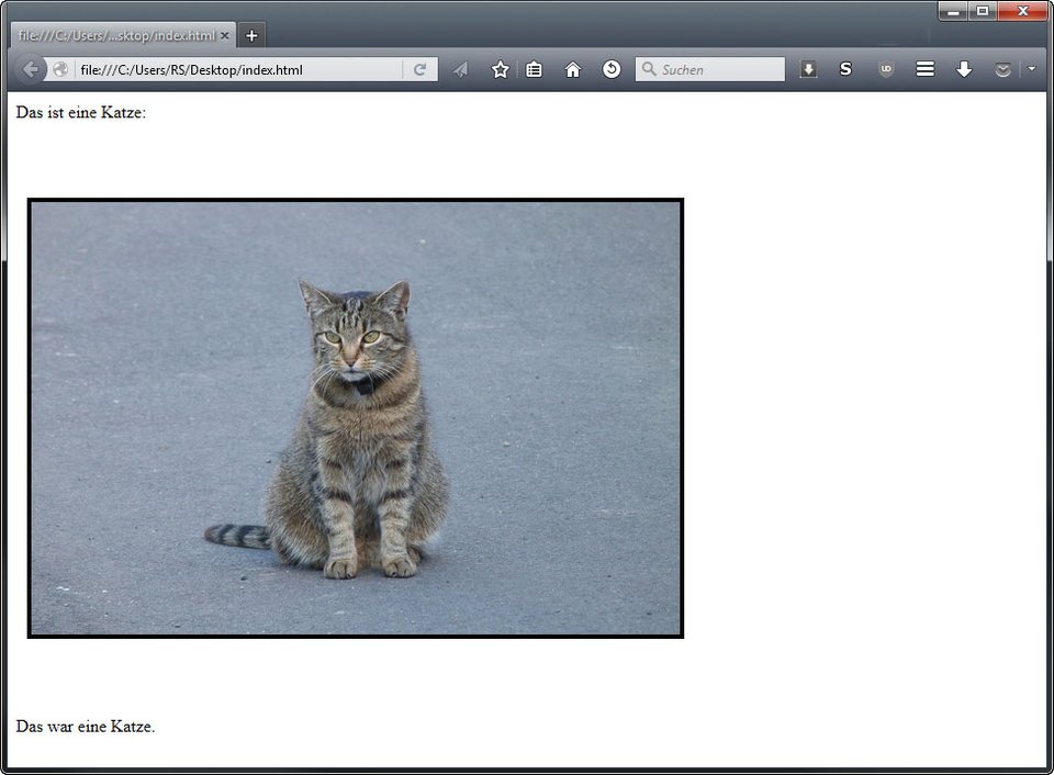 So sieht das eingefügte Bild als HTML-Seite im Browser aus.