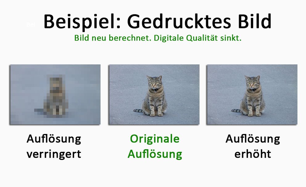 Wenn die Bildauflösung geändert wird