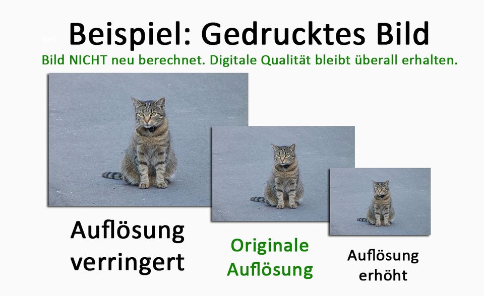 Wenn ihr NUR die Bildauflösung verringert oder vergrößert, wird das gedruckte Bild entweder größer oder kleiner.