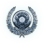 regalia-pilot regalia-pilot