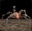 nioh-spinne nioh-spinne