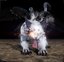 nioh-weißer-tiger nioh-weißer-tiger