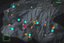 ghost-recon-wildlands-fertigkeitenpunkte-pucara ghost-recon-wildlands-fertigkeitenpunkte-pucara