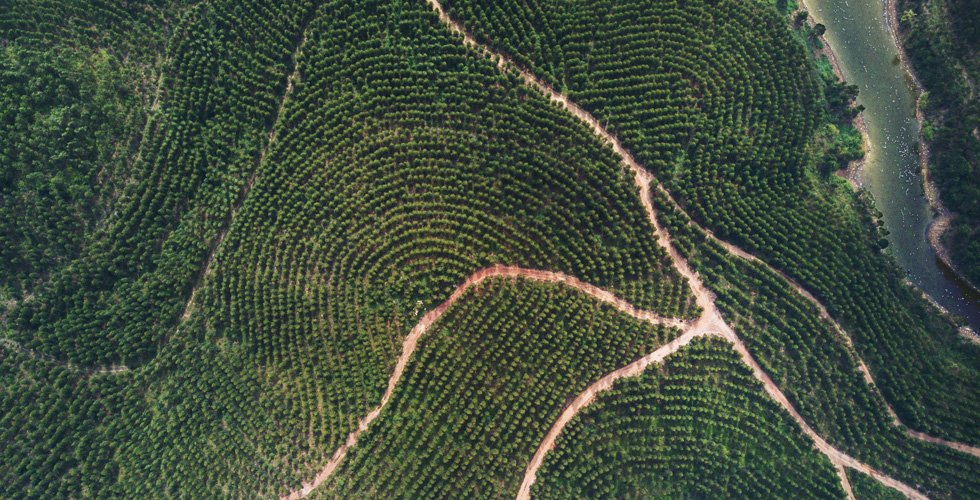 Apple setzt auf Nachhaltigkkeit: 130.000 Hektar Wald – fast 1.300 km² – wurden in China vom Forest Stewartship Council zertifiziert (Quelle: Apple)