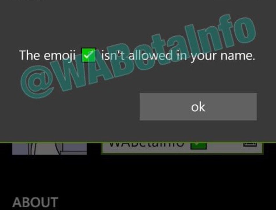 So einen Hinweis sollen WhatsApp-Nutzer in Zukunft erhalten, wenn sie neben ihren Namen einen grünen Haken setzen wollen.