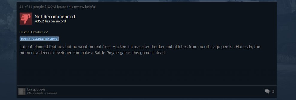 steamkritik pubg