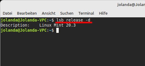 Der Befehl zeigt Name und Version der Linux-Distribution. (Bildquelle: GIGA)