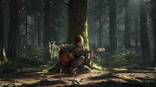PS4: Gratis The Last of Us 2-Theme sichern - so geht's