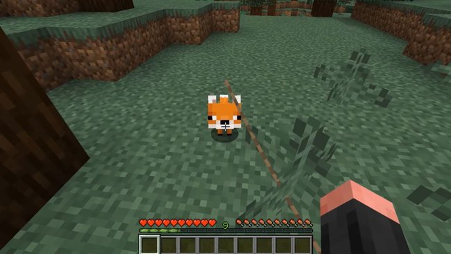 Minecraft: Fuchs an der Leine