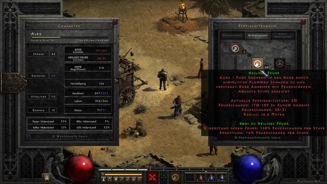 Diablo 2 Resurrected Paladin Skills