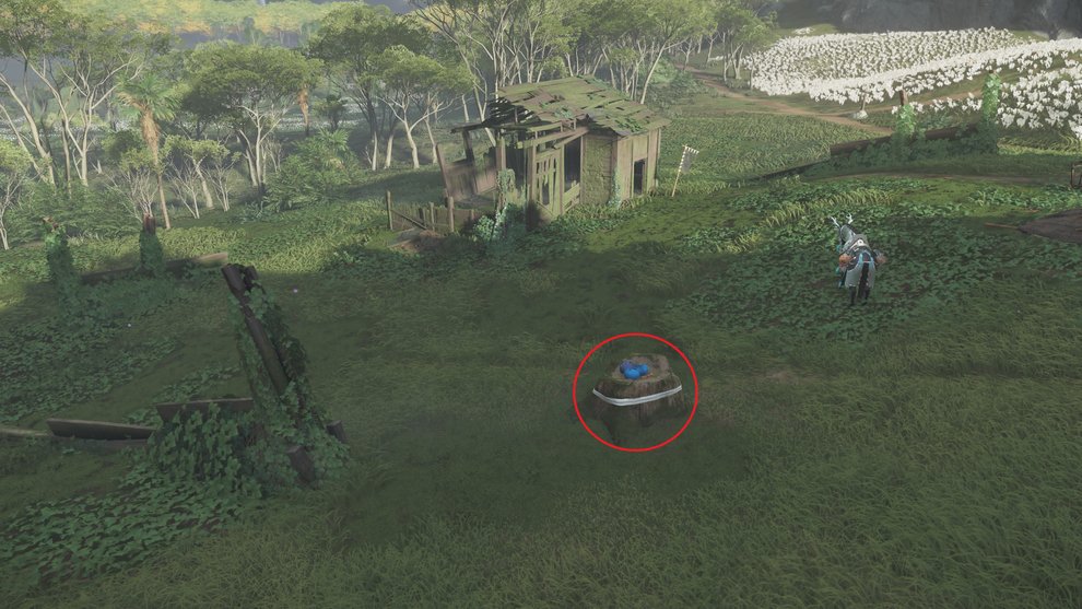 Sammelt die Vorräte und die Schriftrolle vom Baumstumpf ein, um die versteckte Quest abzuschließen (Ghost of Tsushima). Sammelt die Vorräte und die Schriftrolle vom Baumstumpf ein, um die versteckte Quest abzuschließen (Ghost of Tsushima).