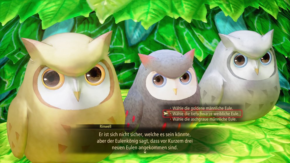 Die tiefschwarze weibliche Eule ist die Gesuchte, allerdings spielt die Wahl keine Rolle (Tales of Arise). Die tiefschwarze weibliche Eule ist die Gesuchte, allerdings spielt die Wahl keine Rolle (Tales of Arise).