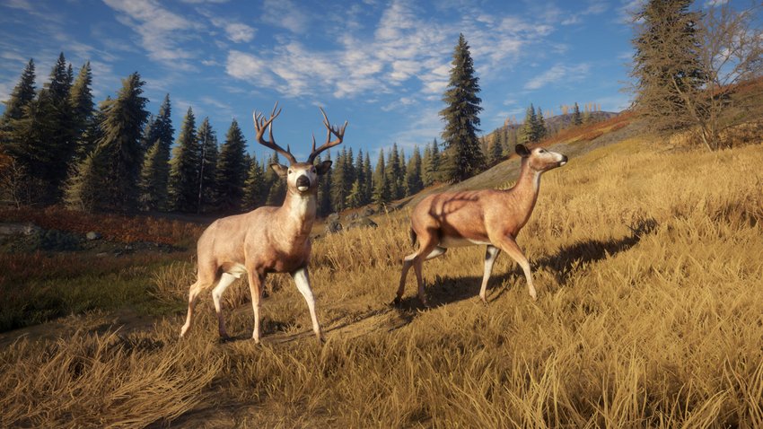 Spieler können sich theHunter: Call of the Wild bei Epic Games sichern.