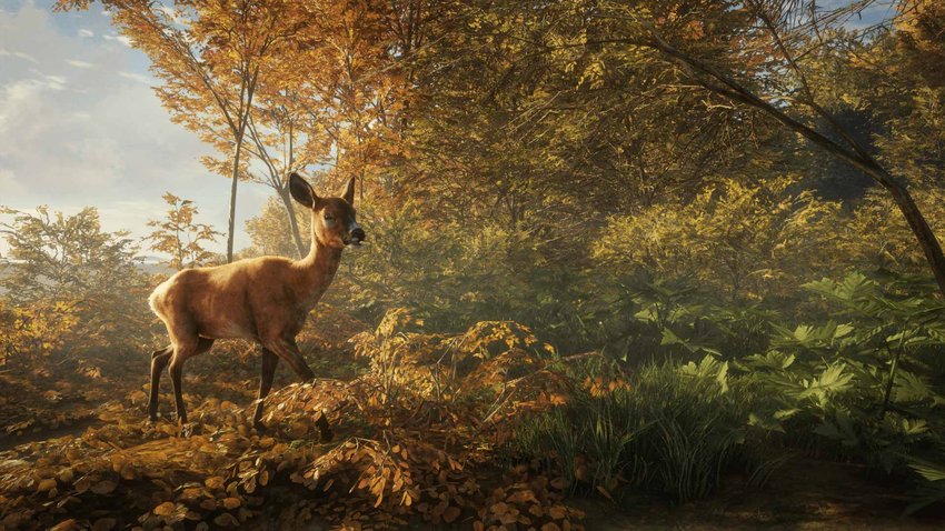 Bei Epic Games gibt es The Hunter: Call of the Wild kostenlos.