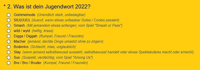 Langenscheidt Wahl zum Jugendwort 2022 Top 10