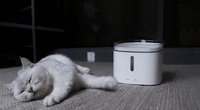 Xiaomi für Haustiere: Neue Smart-Home-Produkte speziell für Hunde und Katzen