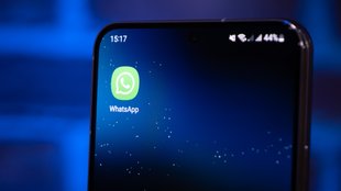 WhatsApp: GIF-Bilder senden, teilen und als Status nutzen
