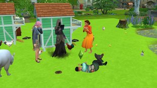 Die Sims 4: „Landhaus-Leben“-DLC – Cheats für PC und Konsole