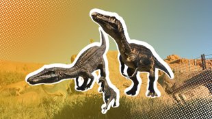 Alle Fischfresser in JWE3