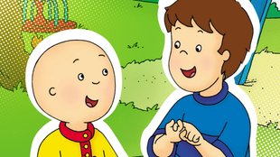 Warum hat Caillou keine Haare? Das steckt dahinter