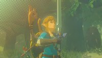Zelda – Breath of the Wild: Alle Waffen, Bögen und Schilde mit Fundorten