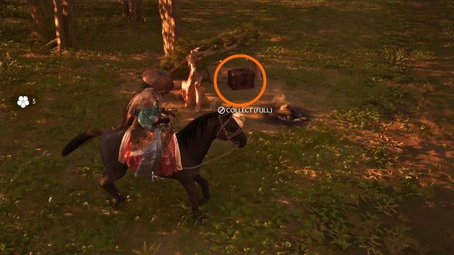 Fundort der Saphirflügel-Maske.