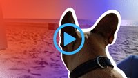 Tipp für Google Fotos: Bilder in Videos verwandeln