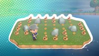 Animal Crossing: Alle 20 Meilenticket-Inseln – seltene Überraschungstouren erklärt