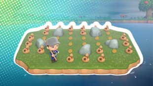 Animal Crossing: Alle 20 Meilenticket-Inseln – seltene Überraschungstouren erklärt