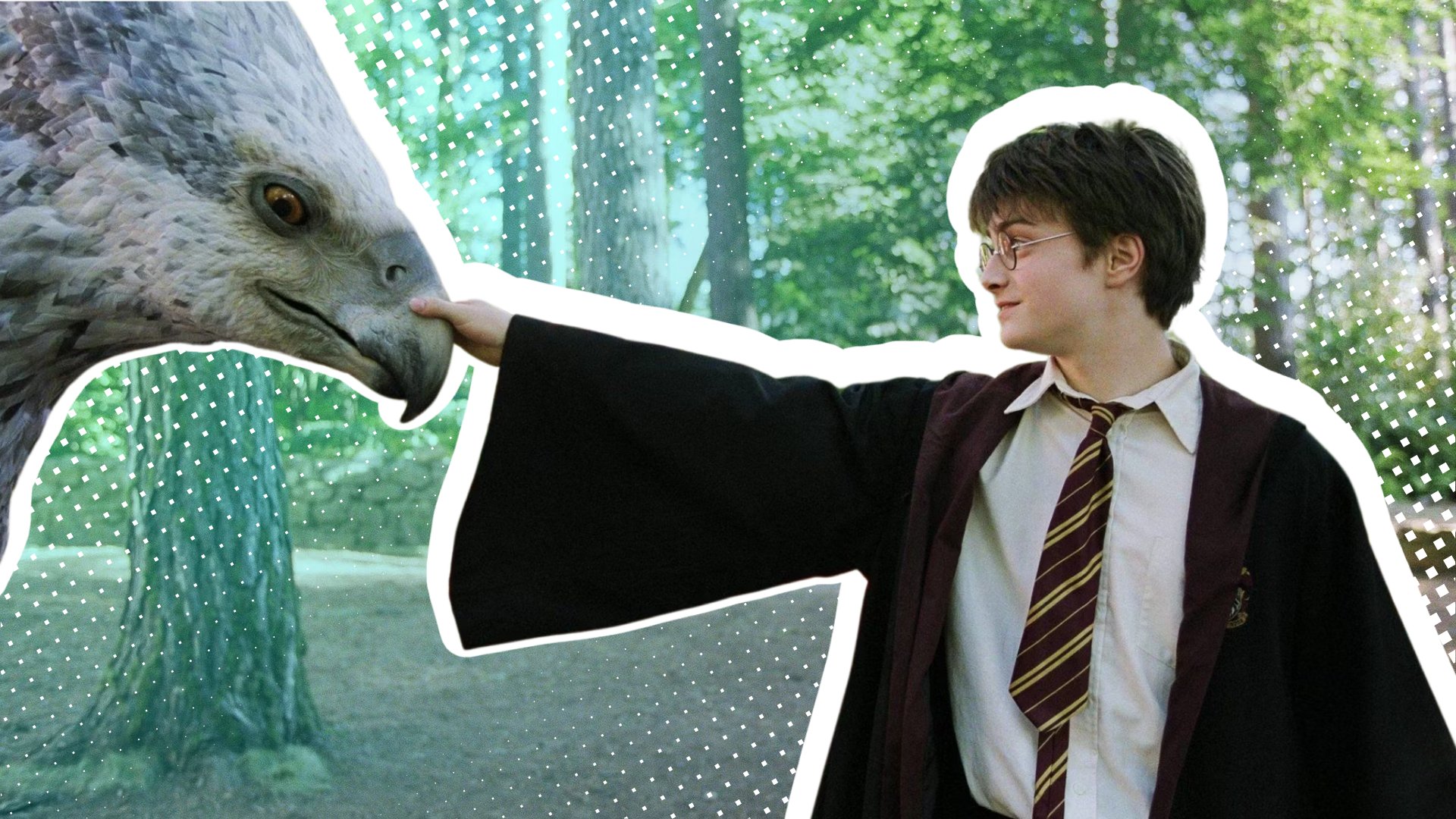 Finally your own magical pet: This Harry Potter dream is now coming true