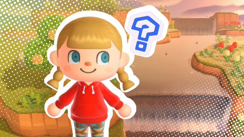 Animal Crossing: New Horizon - Inselnamen finden