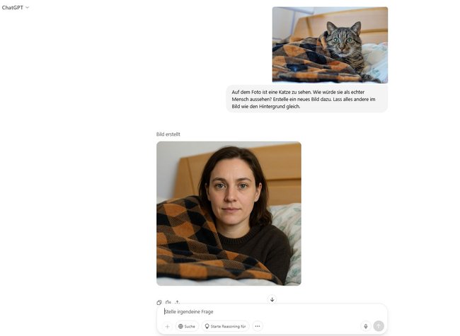 Katze echter Mensch