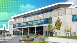 Wie groß ist Elon Musks Tesla-Imperium? Google Maps zeigt die Ausmaße