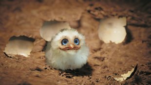 Der Herr der Ringe: Gollum – Eier ausbrüten und Vogel züchten