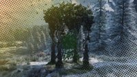 Hogwarts Legacy: Ausrüstungsplätze erhöhen und Inventar erweitern