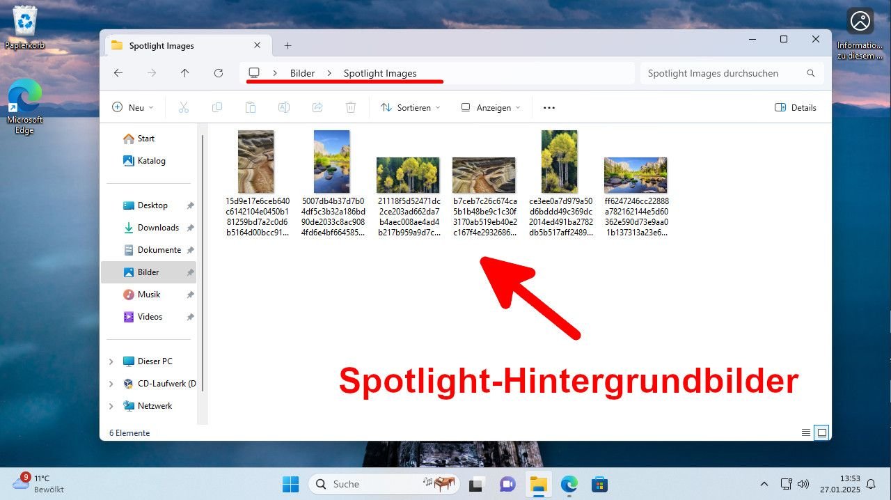 Ordner, in dem Spotlight-Hintergrundbilder zu sehen sind.