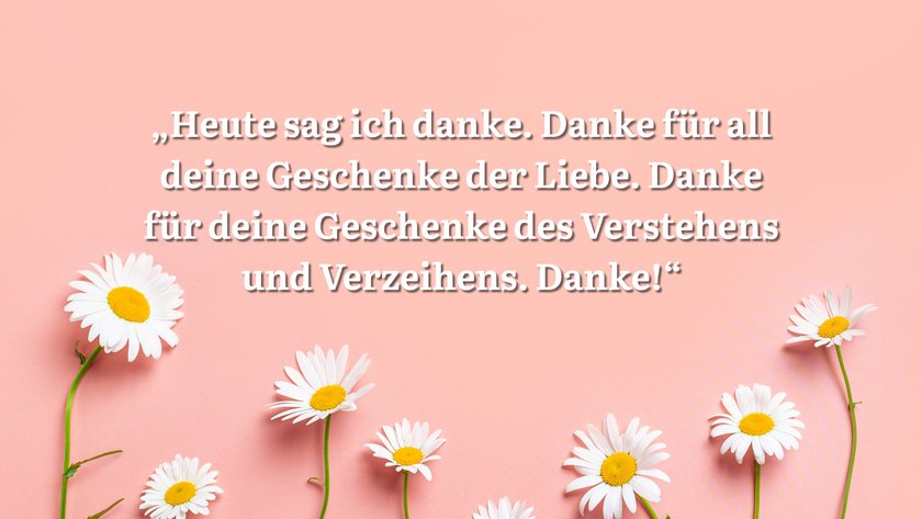 Rosa Hintergrund mit Gänseblümchen und einem Spruch.