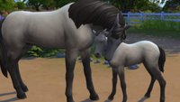 Die Sims 4: Pferderanch DLC – Ein Überblick im Galopp