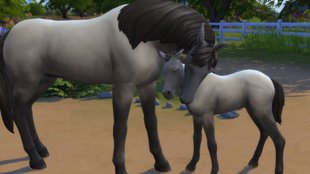 Die Sims 4: Pferderanch DLC – Ein Überblick im Galopp