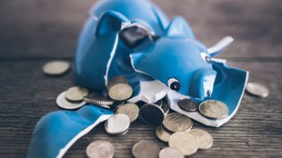 Michael Wendlers Vermögen:  Wie viel Geld besitzt der umstrittene Promi 