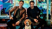 „Dogs of Berlin“ Staffel 2: Wird die Serie fortgesetzt?