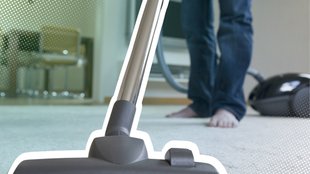 Spinnen mit dem Staubsauger einsaugen – (k)eine gute Idee?